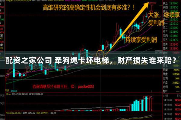 配资之家公司 牵狗绳卡坏电梯，财产损失谁来赔？