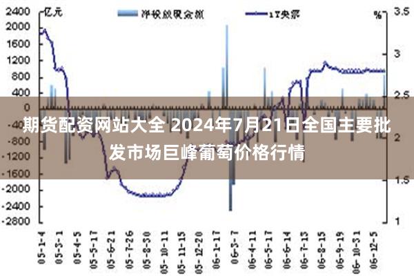 期货配资网站大全 2024年7月21日全国主要批发市场巨峰葡萄价格行情