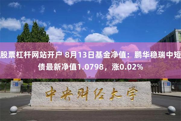 股票杠杆网站开户 8月13日基金净值：鹏华稳瑞中短债最新净值1.0798，涨0.02%