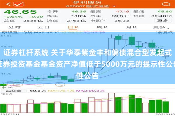 证券杠杆系统 关于华泰紫金丰和偏债混合型发起式证券投资基金基金资产净值低于5000万元的提示性公告