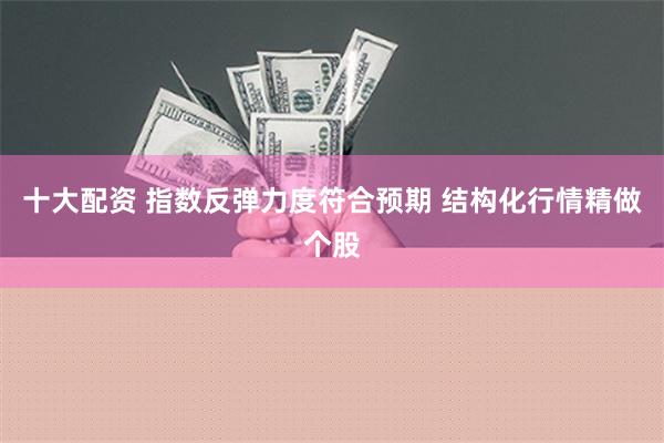 十大配资 指数反弹力度符合预期 结构化行情精做个股