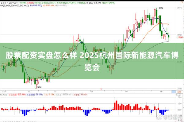 股票配资实盘怎么样 2025杭州国际新能源汽车博览会