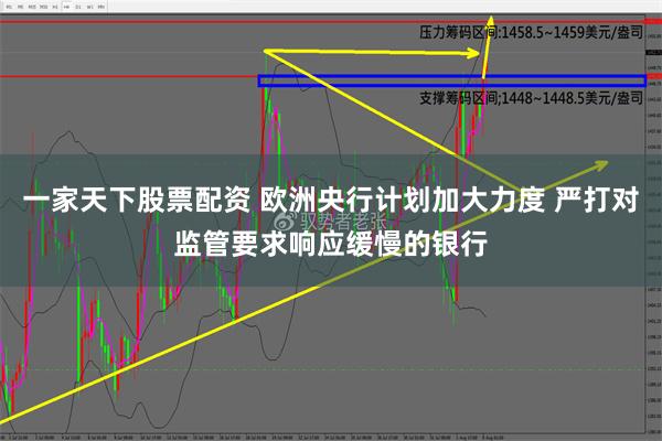 一家天下股票配资 欧洲央行计划加大力度 严打对监管要求响应缓慢的银行